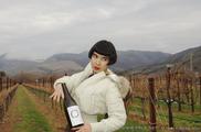 Au Bon Climat exquisite pinot noir Around the World to Santa Maria