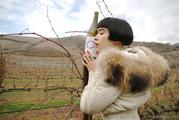 The eternal cycle of Enso 2008 and the vineyard in dialogue